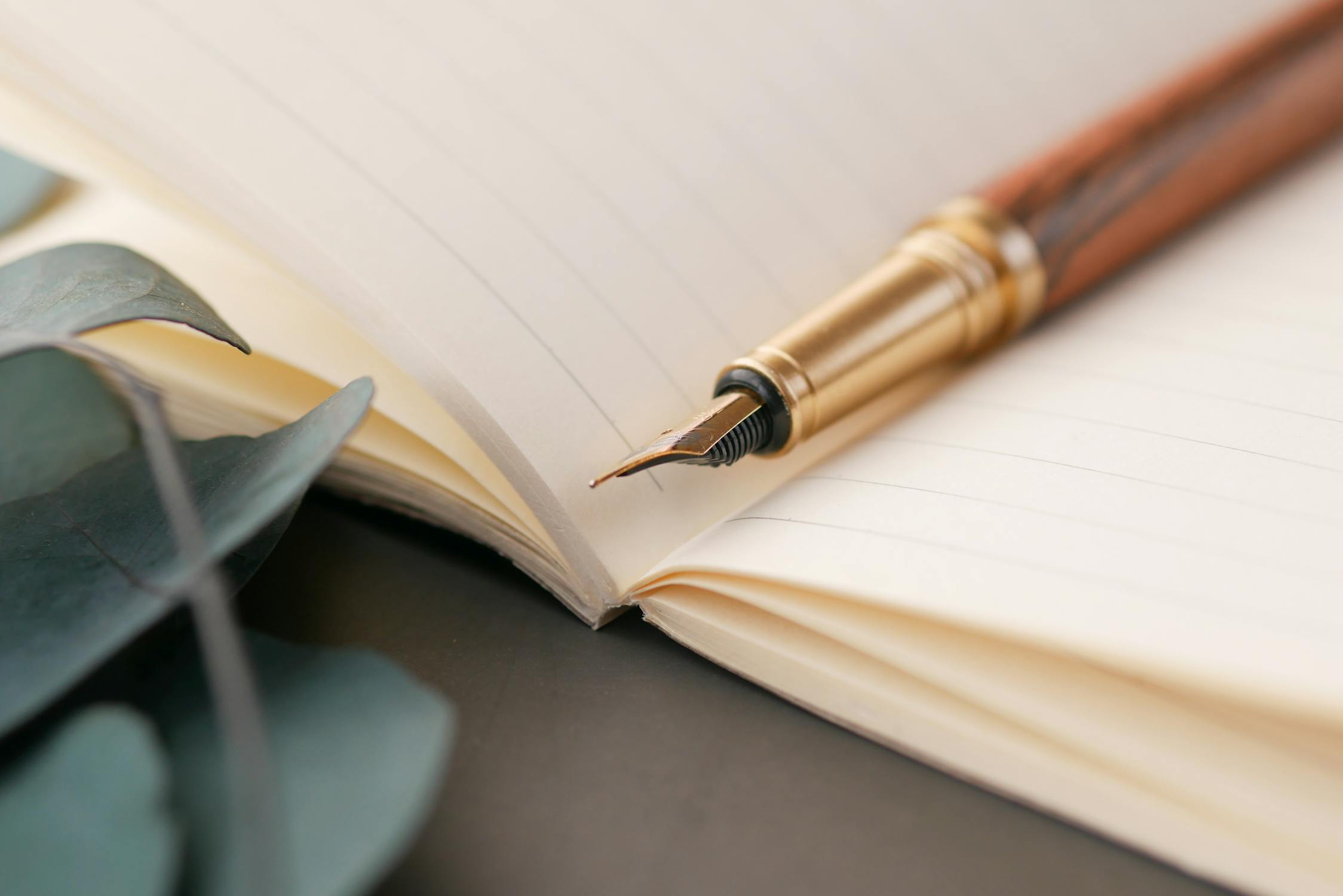 Fountain pen resting on an open writing journal
